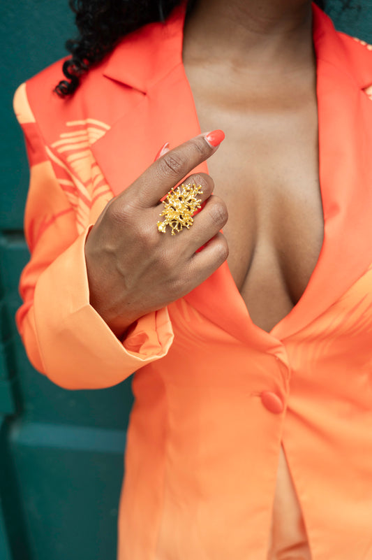 Accessory 1